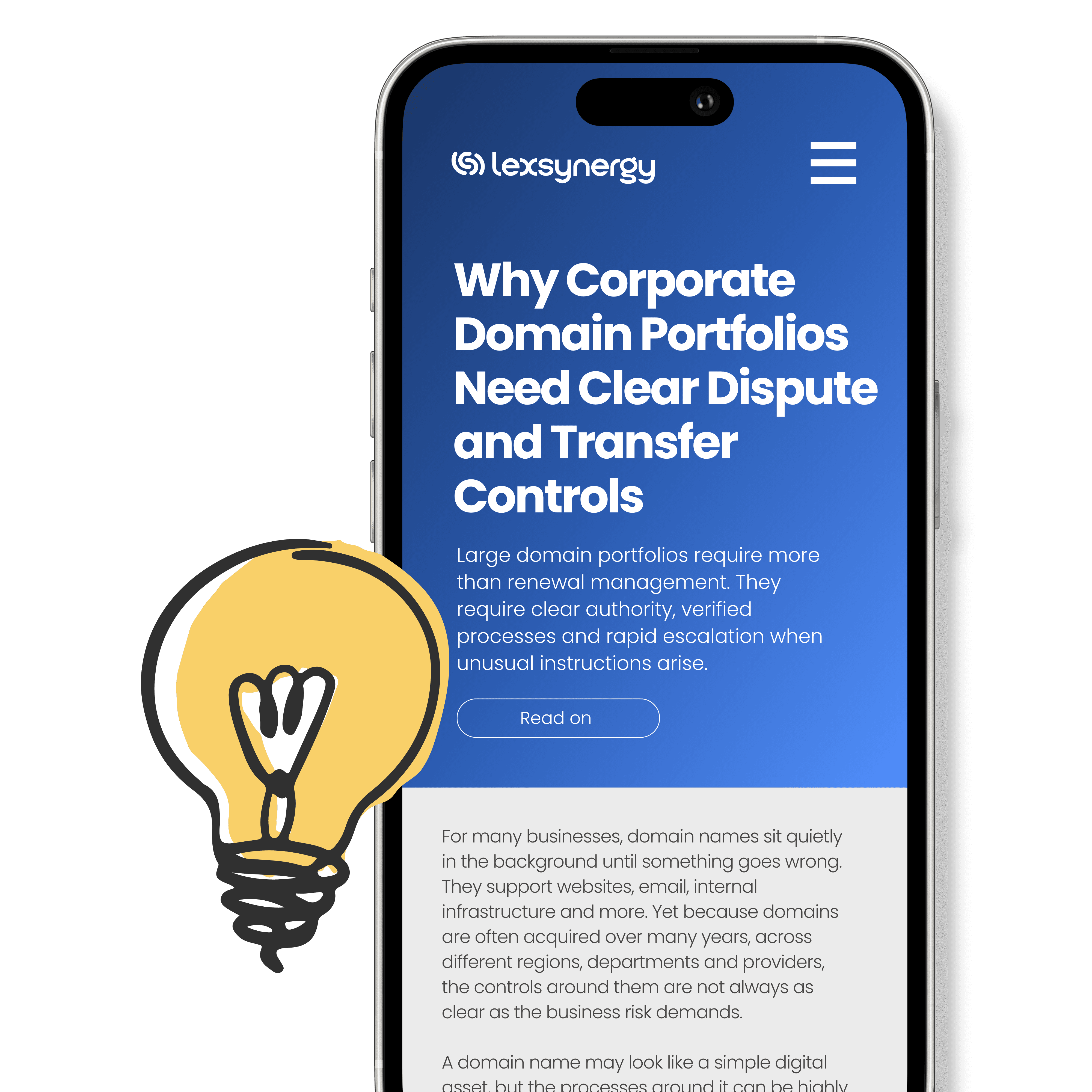 Domain portfolio governance