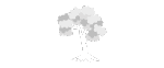 One Domain One Tree