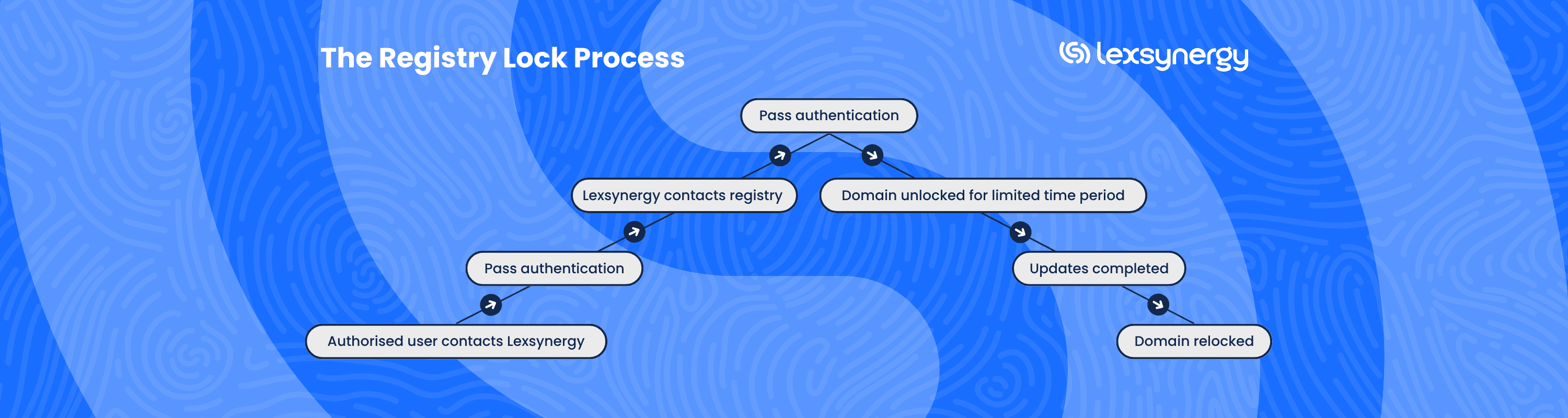 Registry Lock Process