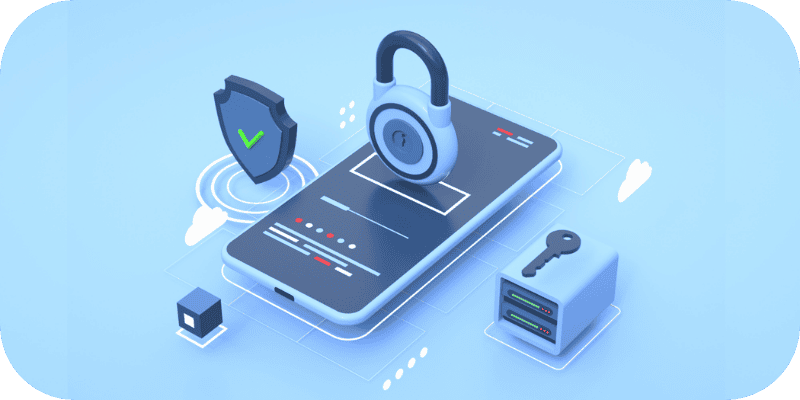 What is a Registry Lock?